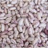sugar beans